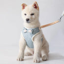 Coleira e Guia Pet Lacinho